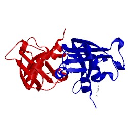 Image of CATH 2g8r