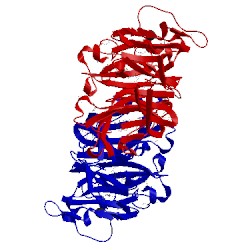 Image of CATH 2g8s