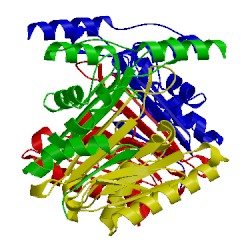 Image of CATH 2gac