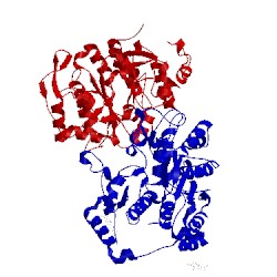 Image of CATH 2gak