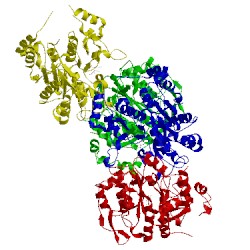 Image of CATH 2gam