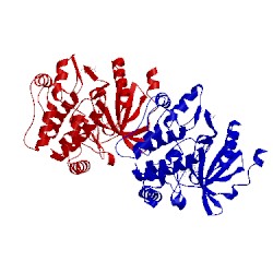 Image of CATH 2gcd