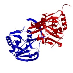 Image of CATH 2gef