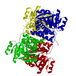 Image of CATH 2gf2