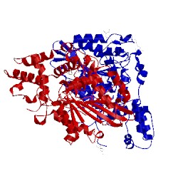 Image of CATH 2gfi