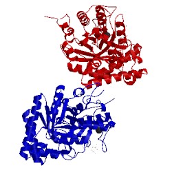 Image of CATH 2gft