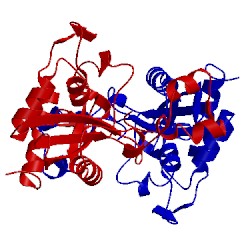 Image of CATH 2giz