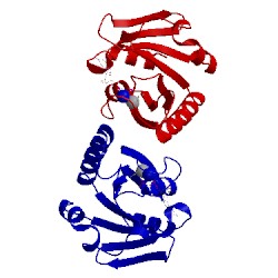 Image of CATH 2gja