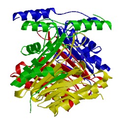 Image of CATH 2gl9
