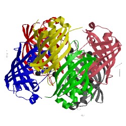 Image of CATH 2gll