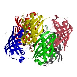 Image of CATH 2glm