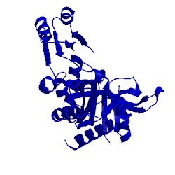 Image of CATH 2glt