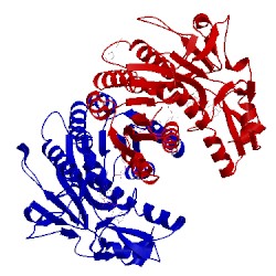 Image of CATH 2gn4