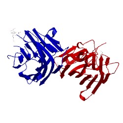 Image of CATH 2gn7