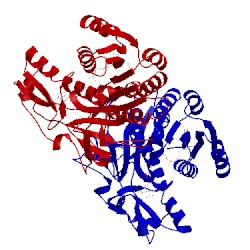 Image of CATH 2gn8