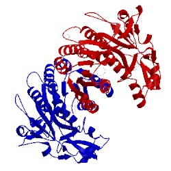 Image of CATH 2gn9
