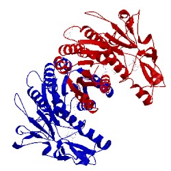 Image of CATH 2gna