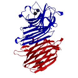 Image of CATH 2gnt