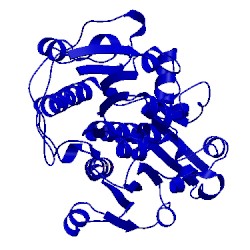 Image of CATH 2go1