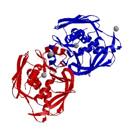 Image of CATH 2go4
