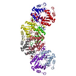 Image of CATH 2goy