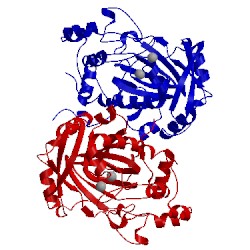 Image of CATH 2gp5