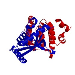 Image of CATH 2grp