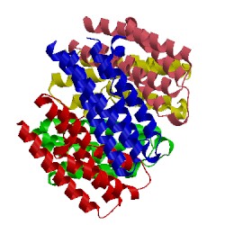 Image of CATH 2gsc