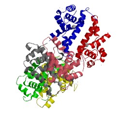 Image of CATH 2gsl