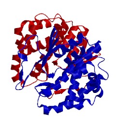 Image of CATH 2gtu