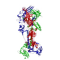 Image of CATH 2gum