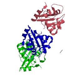 Image of CATH 2gwf