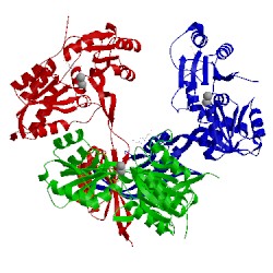 Image of CATH 2gx8