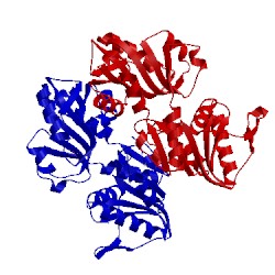 Image of CATH 2h06