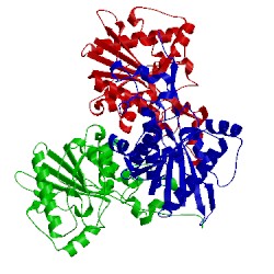 Image of CATH 2h0q