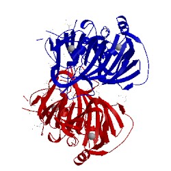 Image of CATH 2h0v