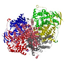 Image of CATH 2h12