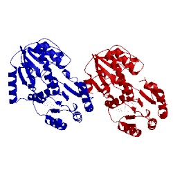 Image of CATH 2h1f
