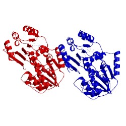 Image of CATH 2h1h