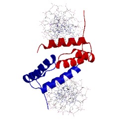 Image of CATH 2h1k