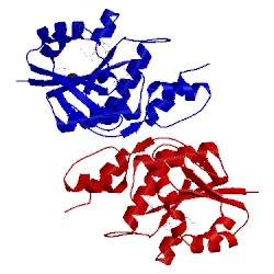 Image of CATH 2h2a