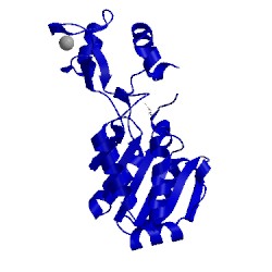Image of CATH 2h2d