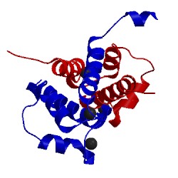 Image of CATH 2h2k