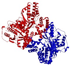 Image of CATH 2h4t