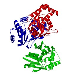 Image of CATH 2h92