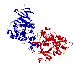 Image of CATH 2h96