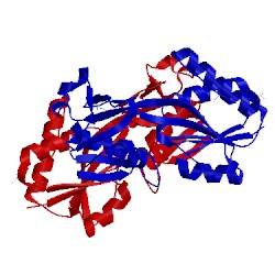 Image of CATH 2h99