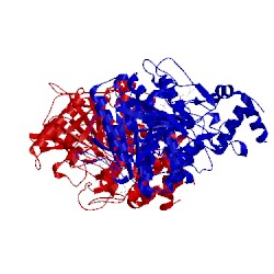 Image of CATH 2ha4