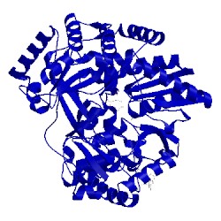 Image of CATH 2hai