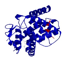 Image of CATH 2hcd